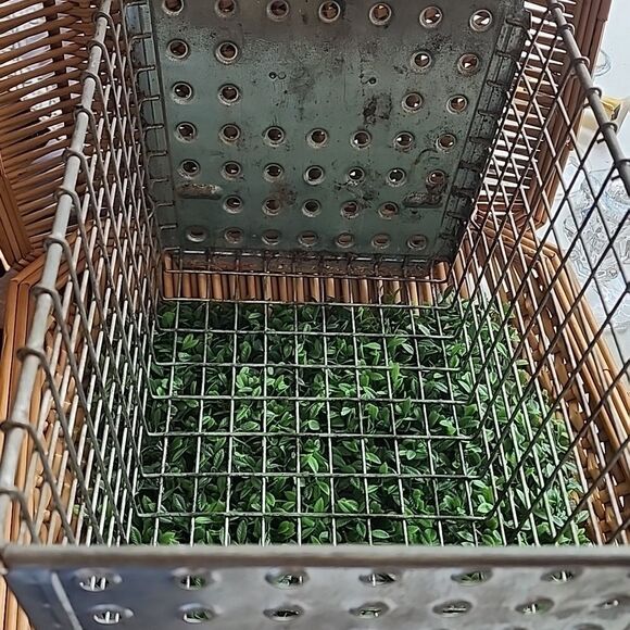 Vintage Washburn Co #637 Locker Room/Pool Metal Wire Basket - Picture 7 of 12